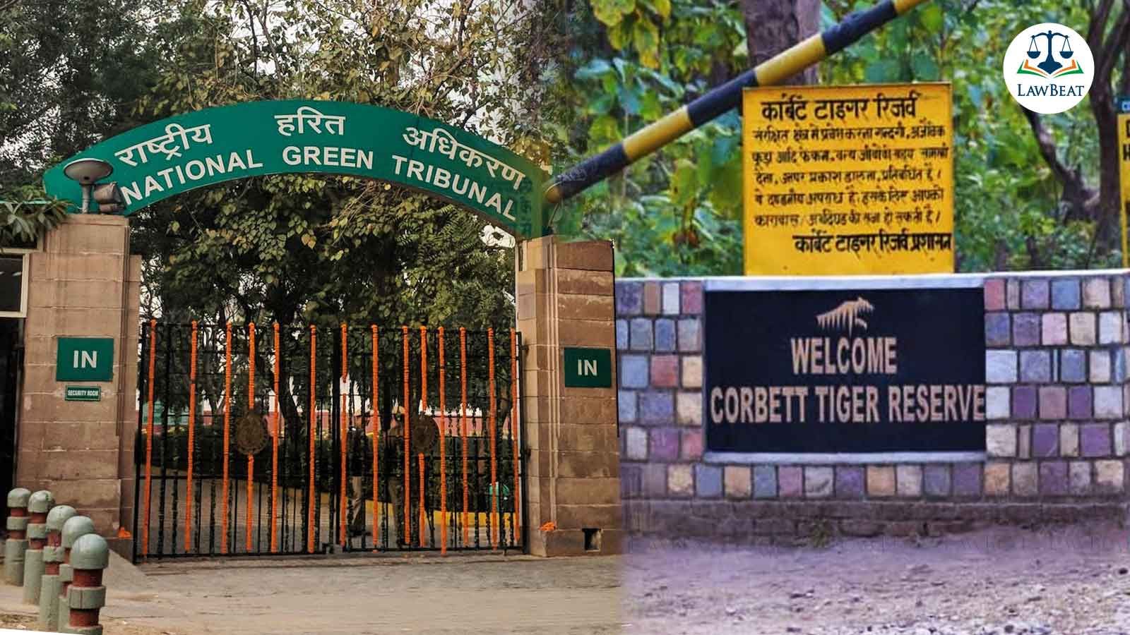 NGT Directs MOEF to File Action Taken Report on Illegal Felling of 6,000 Trees for Tiger Safari Project in Corbett Reserve NGT Directs MOEF to File Action Taken Report on Illegal Felling of 6,000 Trees for Tiger Safari Project in Corbett Reserve